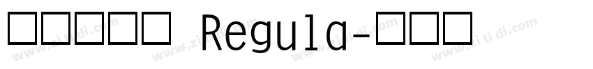 点字油漆体 Regula字体转换